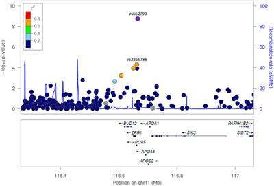 Genetic Determinants of Visit-to-Visit Lipid Variability: Genome-Wide Association Study in Statin-Naïve Korean Population